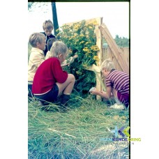 Vak.Spelen 1972- F00001405